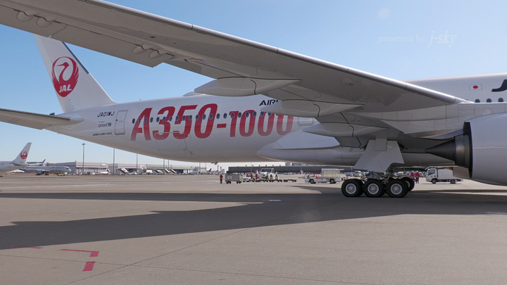 JAL】A350-1000 初就航限定ノベルティ 羽田→NYC - 美術品 